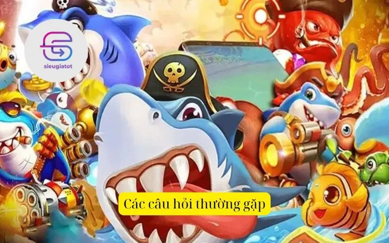 Các câu hỏi thường gặp