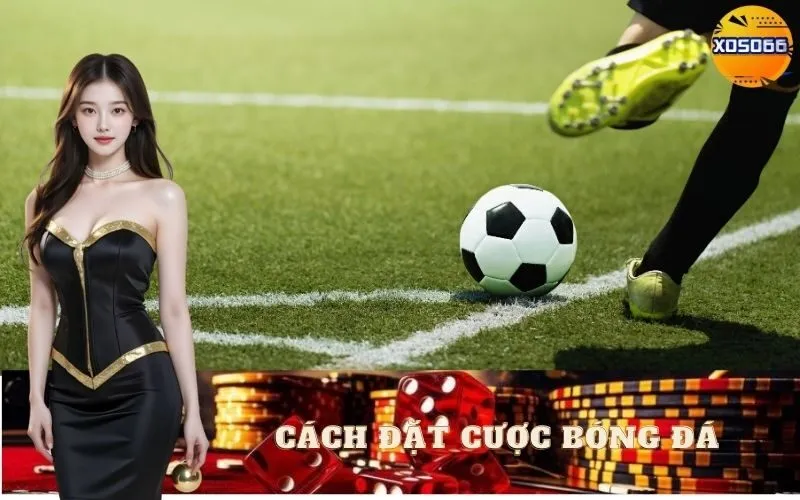 Cách Đặt Cược Bóng Đá