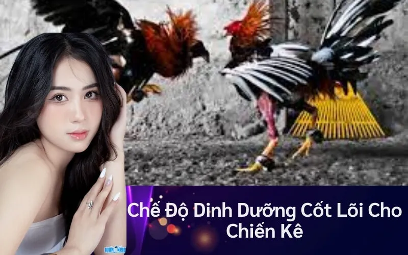 Chế Độ Dinh Dưỡng Cốt Lõi Cho Chiến Kê