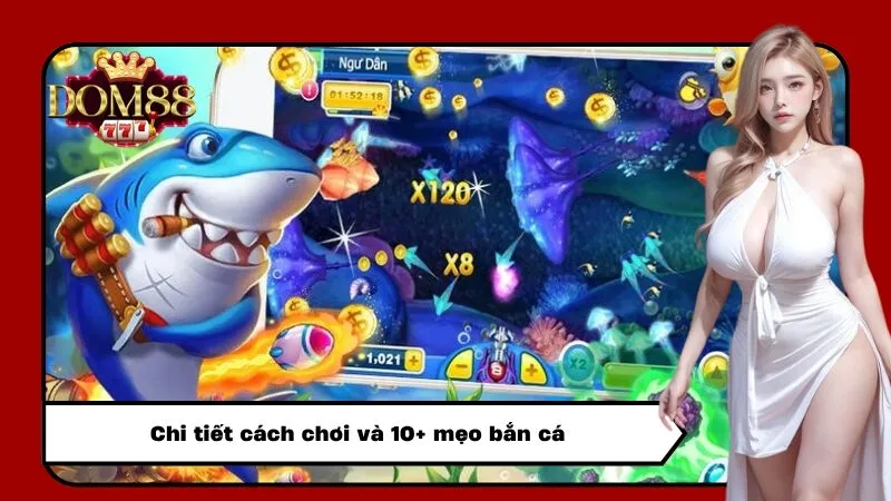 Chi tiết cách chơi và 10+ mẹo bắn cá
