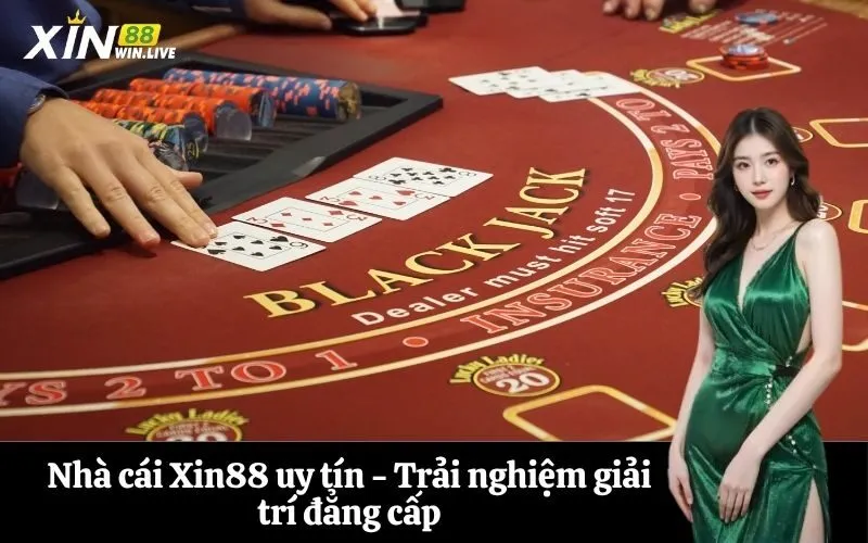 Nhà cái Xin88 uy tín - Trải nghiệm giải trí đẳng cấp