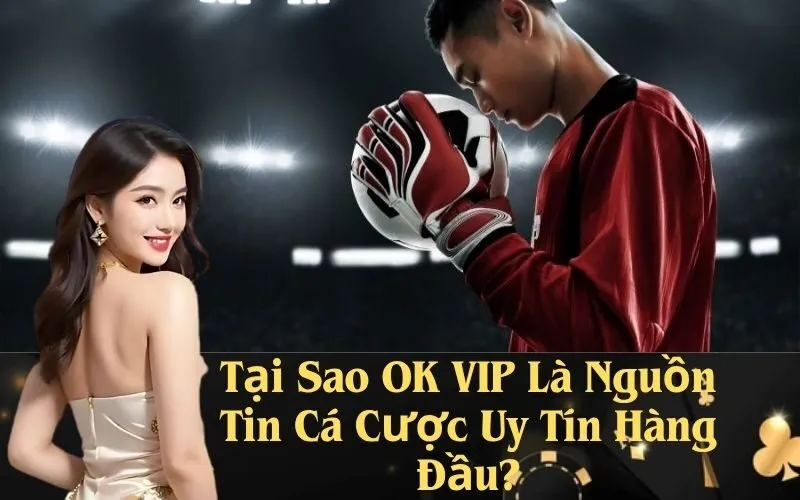 Tại Sao OK VIP Là Nguồn Tin Cá Cược Uy Tín Hàng Đầu?