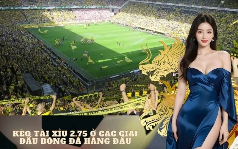 Kèo tài xỉu 2.75 ở các giải đấu bóng đá hàng đầu