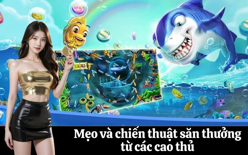 Mẹo và chiến thuật săn thưởng từ các cao thủ